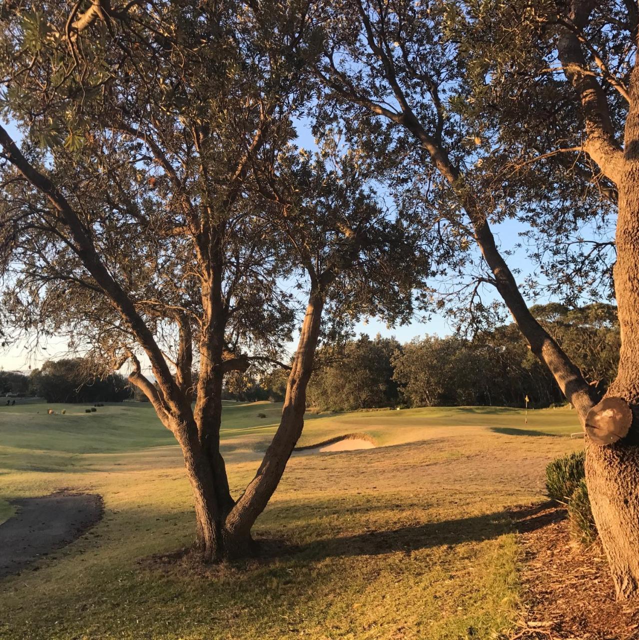 邦加莱豪华别墅 Shoalhaven Heads 外观 照片